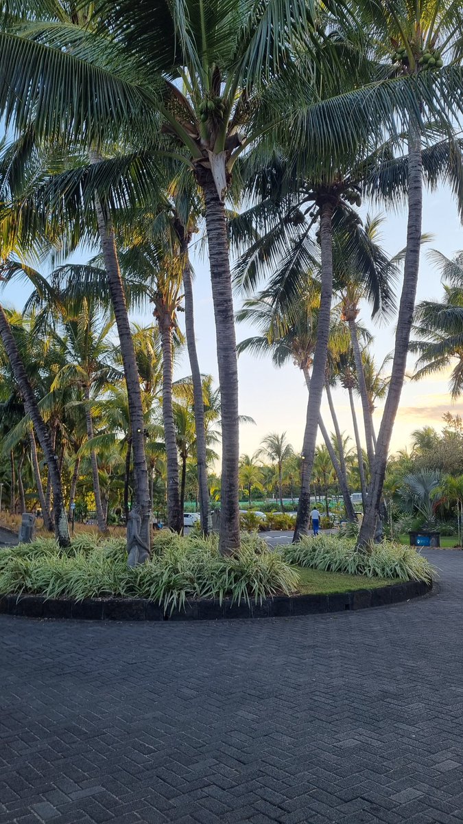beachtag's tweet photo. You deserve the best!
See Mauritius, the Beachcomber Way, the only way🧡🌺
#beachcomberexperience #mauritius2025 #beachtagholidays #timetoreturn https://t.co/bLSwIoBtyd