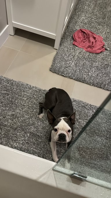 This dog is so obsessed with water that it’s 1230 at night and he still wakes up from the other side