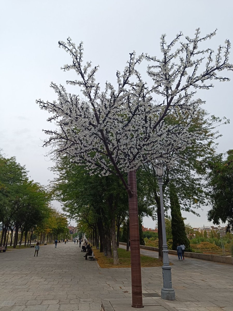 Izaskun_MC's tweet photo. @MADRID qué bien que ya estén las luces navideñas puestas. Pero una duda, ¿cuándo vais a devolver a los pediatras a los centros de salud? En el del paseo 15 de mayo llevamos meses esperando... @CCOOSanidadMad @sanidadgob ¡Gracias! https://t.co/qiOYNLCqXv