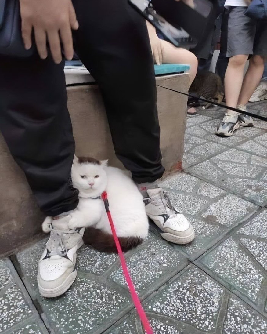 bro has social anxiety