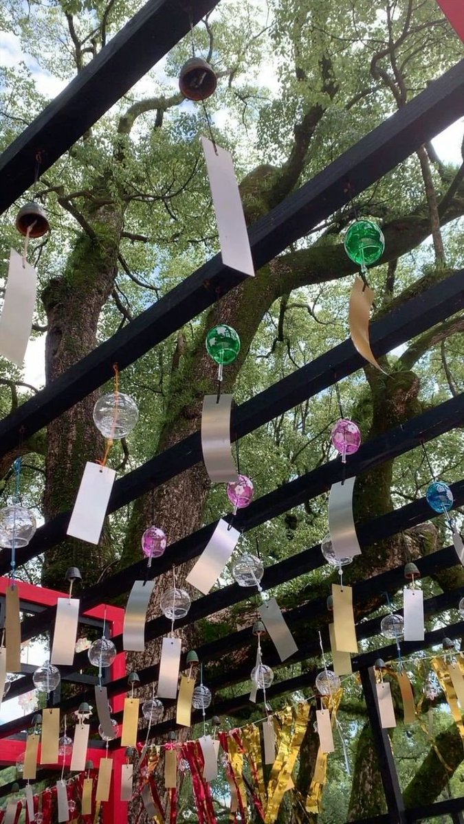 高木結衣 (@hamsarshaikh) on Twitter photo 