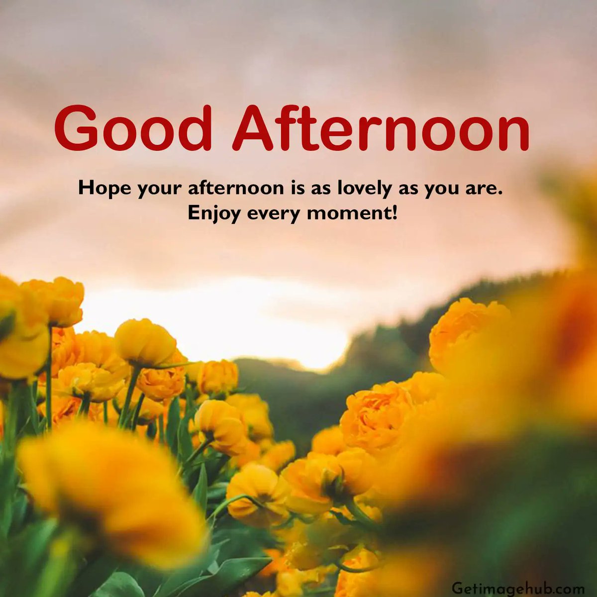 #शुभ_दोपहर
#Goodafternoon
