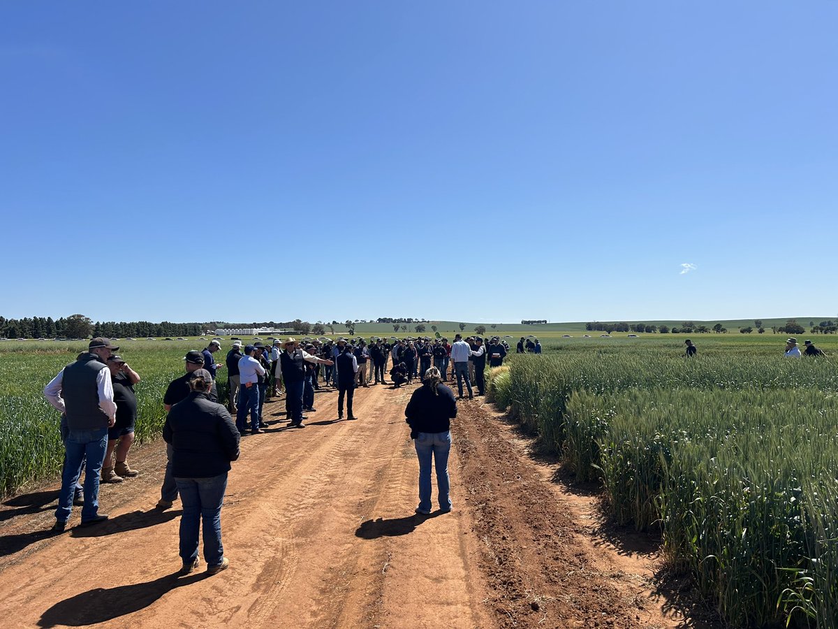 Well to <a href="/HartBrosSeeds/">Hart Bros Seeds</a> on 60 years of service to the Ag community!