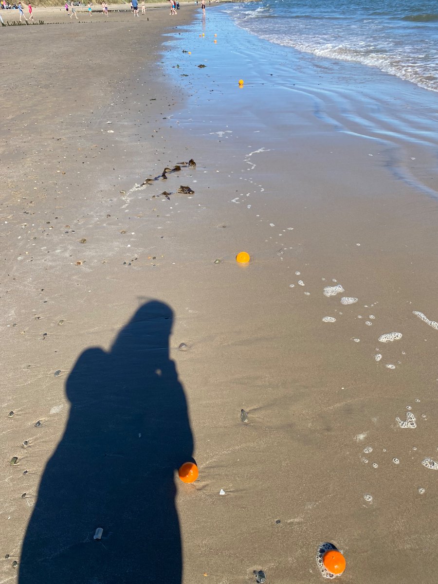 Shinelisa's tweet photo. @CarlowWeather I have also witnessed this! The day that I saw the greatest number of them, however, coincided with the day that I saw a big school group playing on the beach. So the suggestion that they are from a school project stacks up! 🍊 https://t.co/exFu7PnTnN