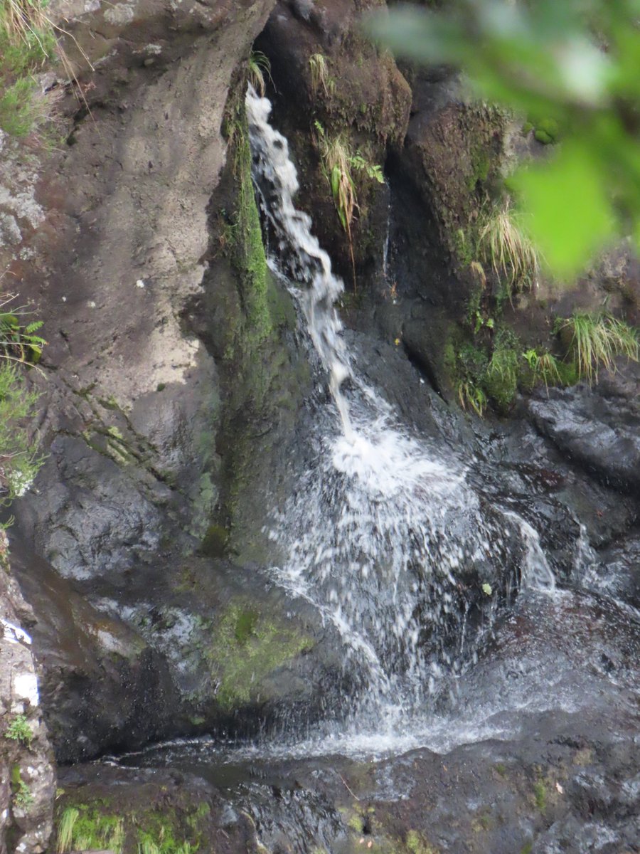 wapple15's tweet photo. #FallsOfFoyers 🏴 #WaterfallWednesday #WaterOnWednesday https://t.co/qhKXIlWC4A