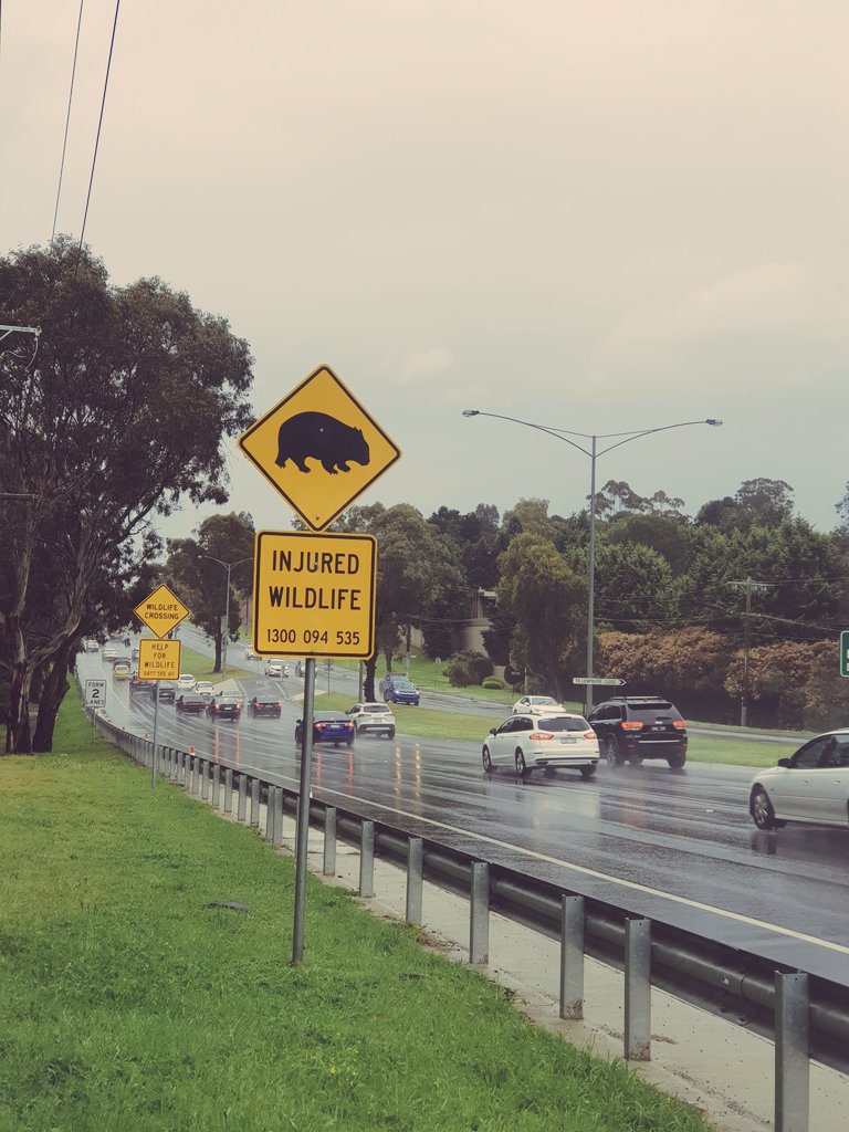 Cla_Pardo's tweet photo. This brief stay in #Melbourne for #ISBE2024 conference gave me the chance to experience a glimpse of Australian lifestyle. I've loved every moment of it. Brief, but unforgettable. See you later! #Australia https://t.co/AjzQXEFWNr