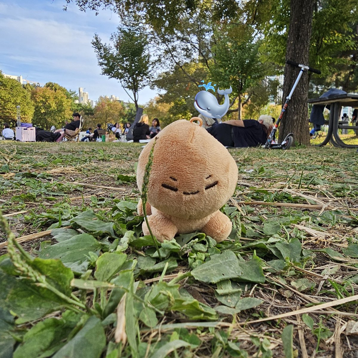 홋똥이 첫 외출📸

<a href="/alright_tiger/">호마랑</a>