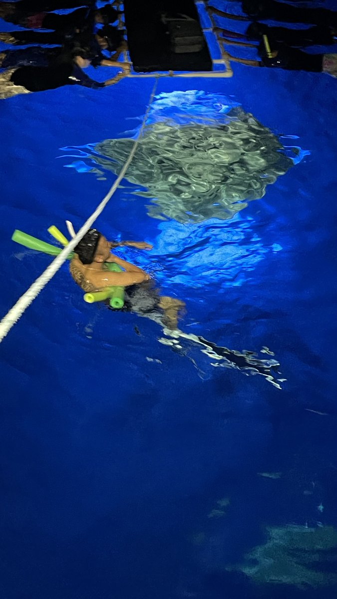 d00d00d00m's tweet photo. View from the boat! https://t.co/wSr2FL79GO