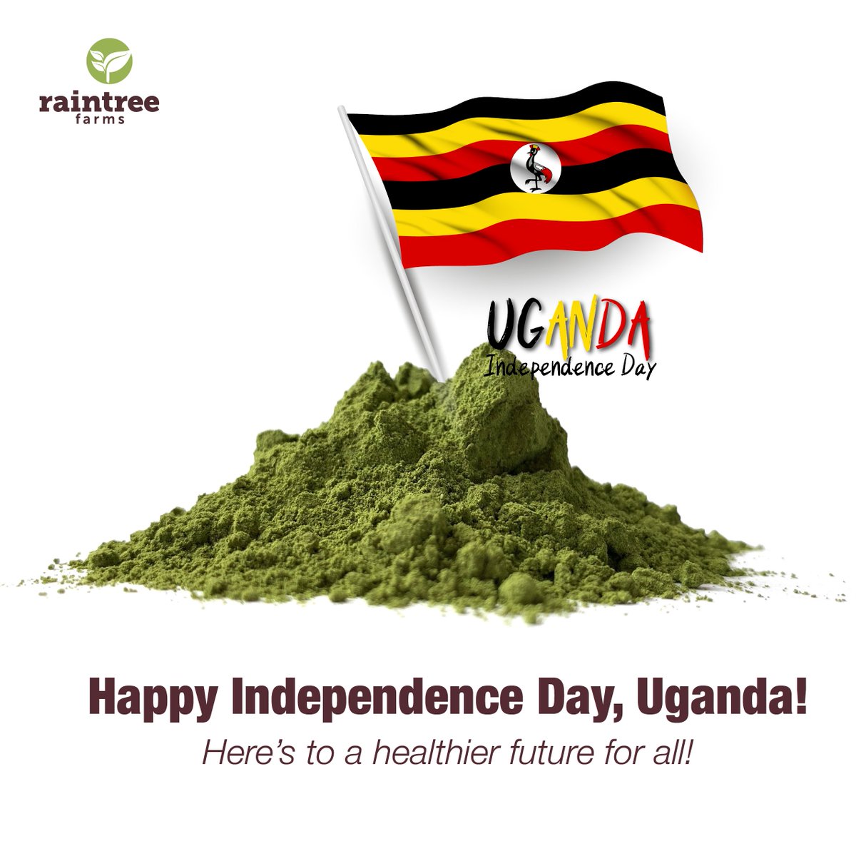 RT_farms's tweet photo. Happy Independence Day, Uganda 🇺🇬 Here's 62 years of freedom, unity, and progress. Let’s keep shining and building our nation, one step at a time together. 

#IndependenceDay #UgandaAt62 #FeedYourGlow #QweziBeauty #RaintreeFarms https://t.co/ivLWWuw42D