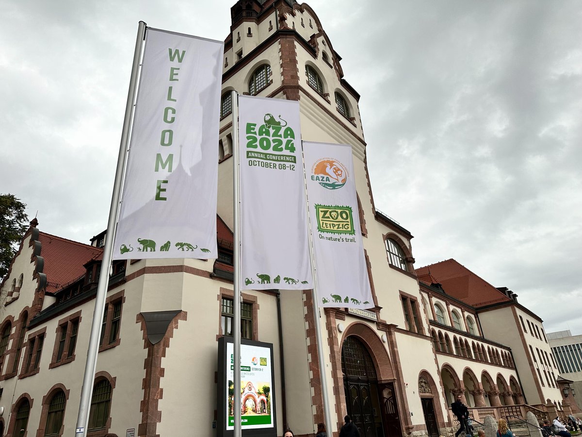 n-gage.io tweet media