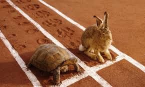 vendlab's tweet photo. How to Grow Your eCommerce Business YouTube Channel now has over 3000 subscribers and over 500 hours watched monthly.

https://t.co/oTLjqZhEtc 

Like the Tortoise in Aesop's fable, you just need to keep at it..... https://t.co/ggTJnyW0rw