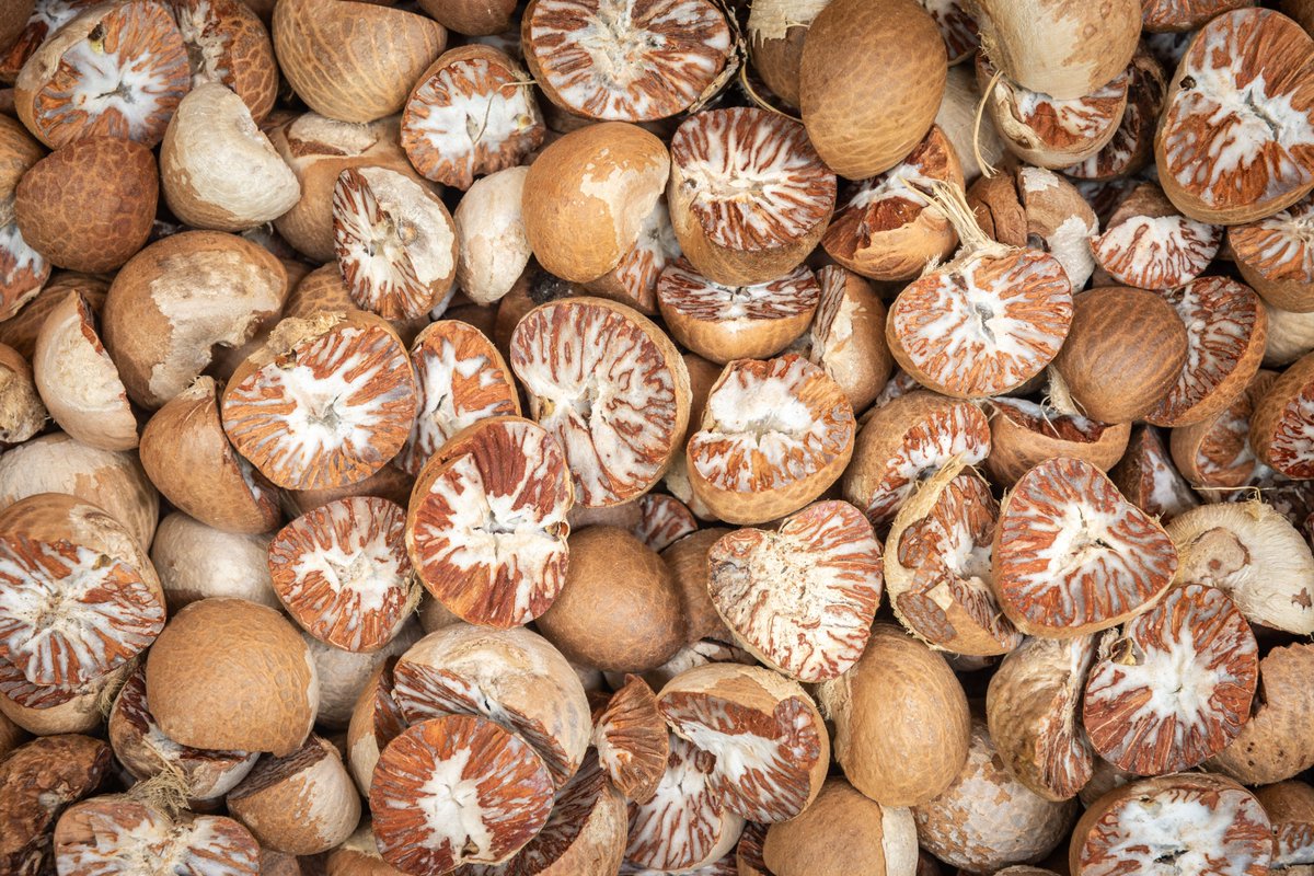 New #IARCpaper shows 1⃣ in 3⃣ cases of #OralCancer👅 globally are due to smokeless #tobacco &amp; #areca nut🌰 use.
In 2022, more than 120 000 cases of oral #cancer were caused by these risk factors.
iarc.who.int/news-events/ne…