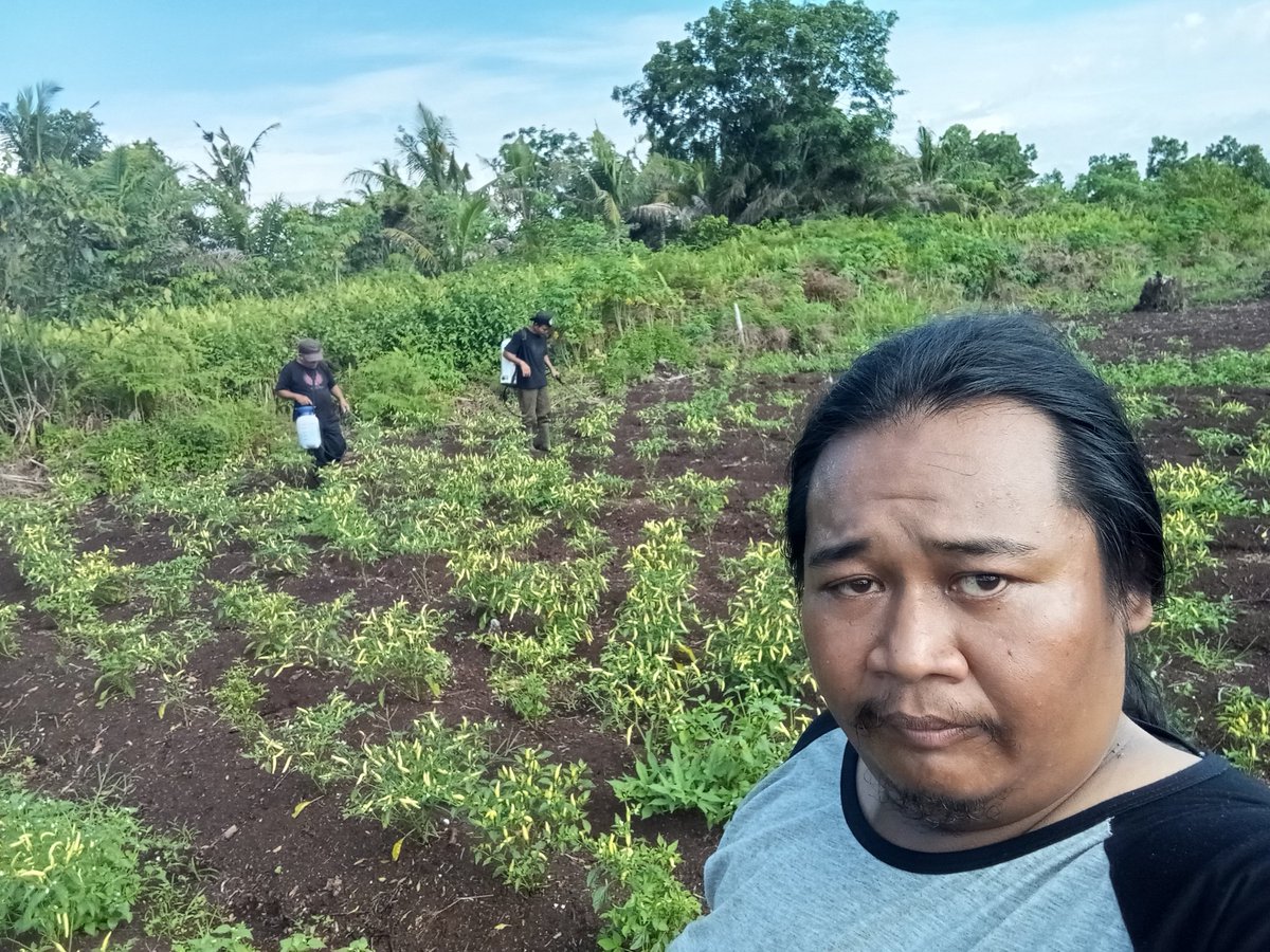 fiqihhasanuddin's tweet photo. Pemeliharaan tanaman cabe dilahan gambut MPA Desa Parit Setia @BRGM_Indonesia https://t.co/gHbfoeAZlv