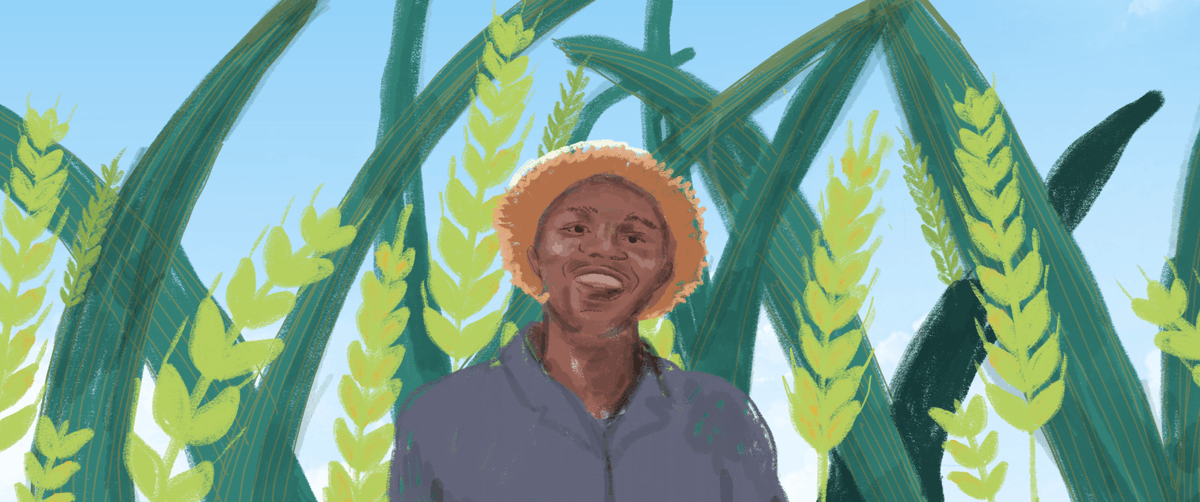 ✨ SO rewarding to see the innovations we've supported grow &amp; thrive!
One standout: Farm to Market Alliance. From joining the <a href="/WFPInnovation/">WFP Innovation</a>'s sprint programme in 2017 to scaling up in 2020, FtMA is piloting new agri-innovations via <a href="/WFP/">World Food Programme</a> in #Africa!
Read: bit.ly/WFPIA-FtMA-Blog