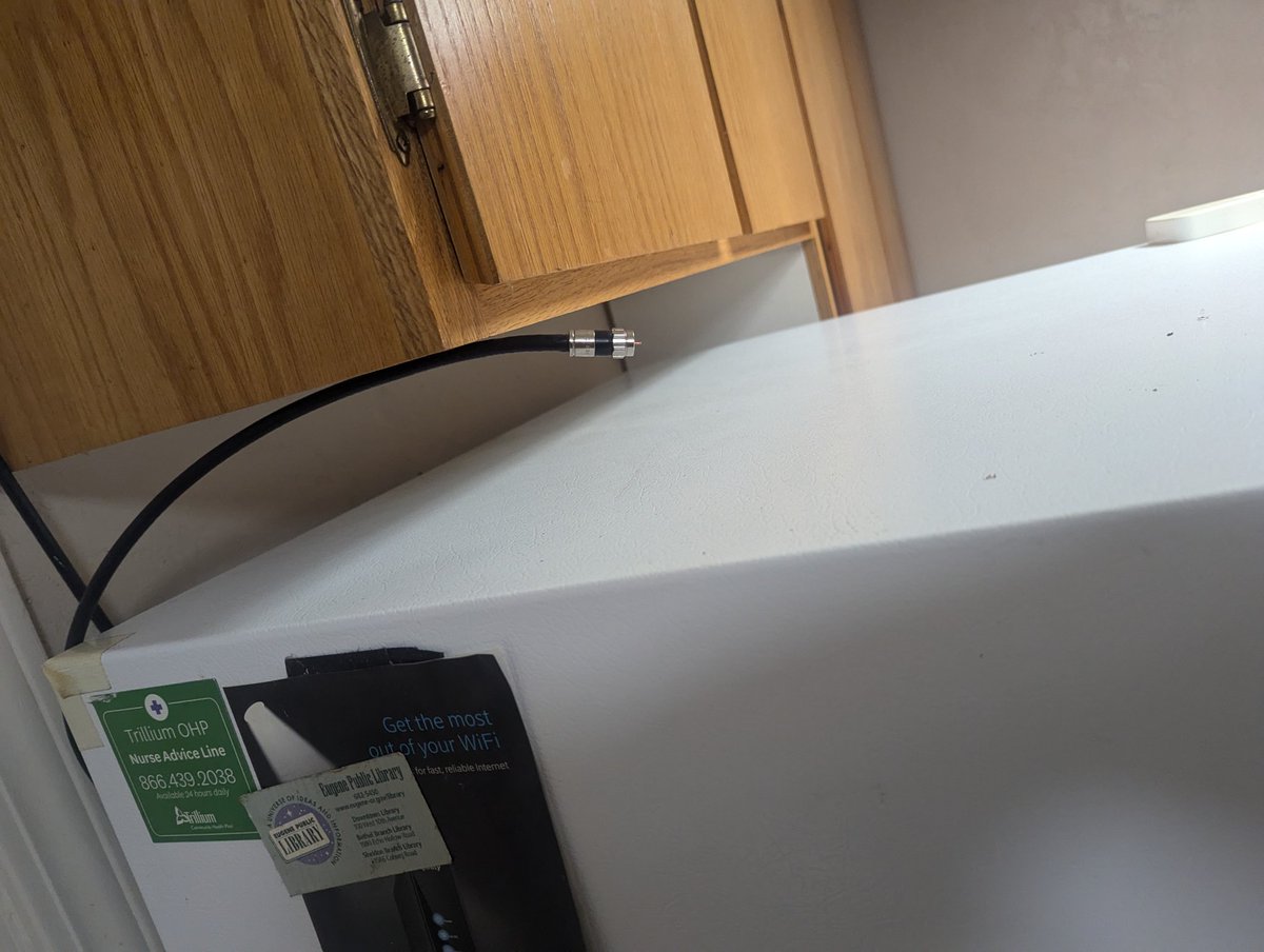 KatiaSattari | VA | PNGTuber tweet media