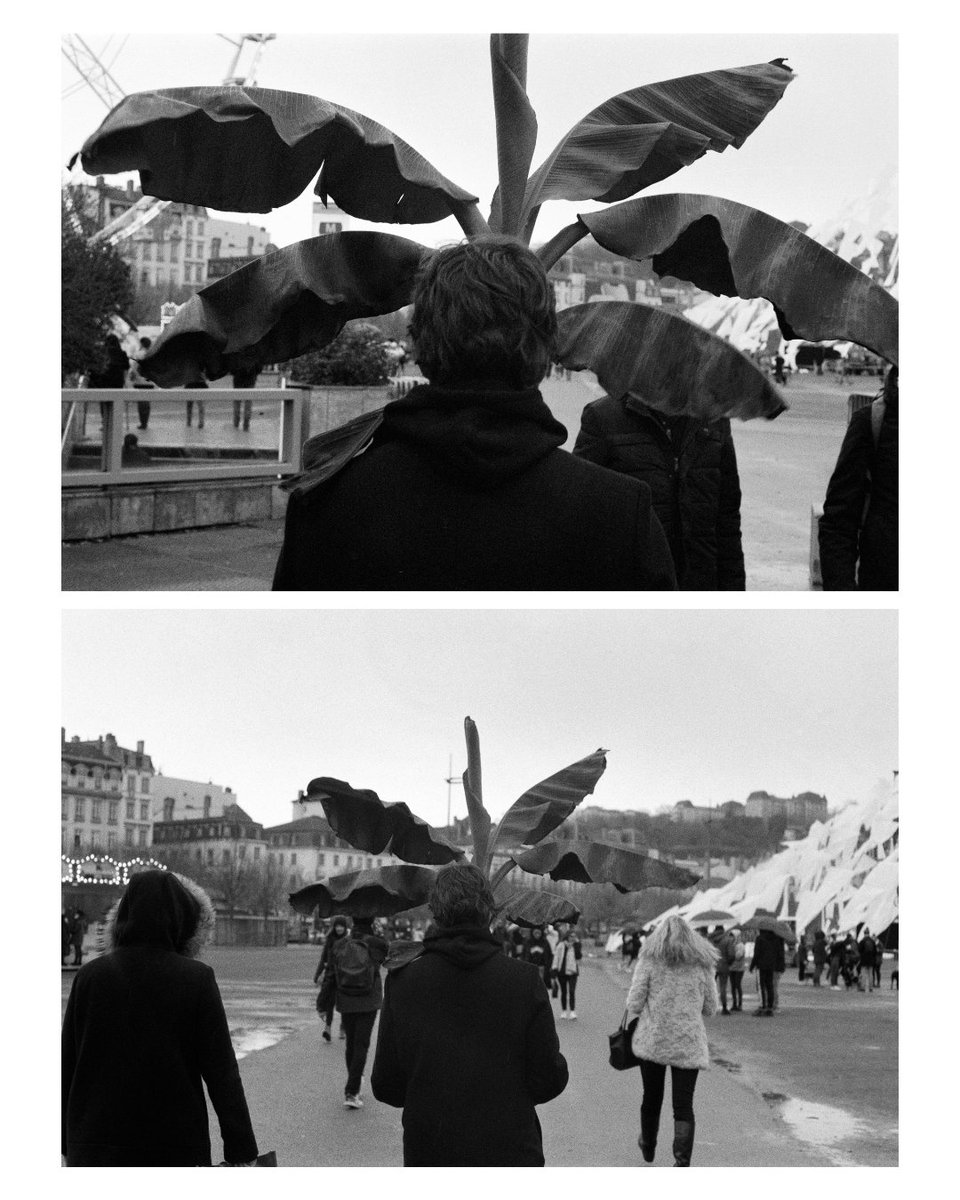 9. Face cachée 🪴

 #31themesAnalogChallenge