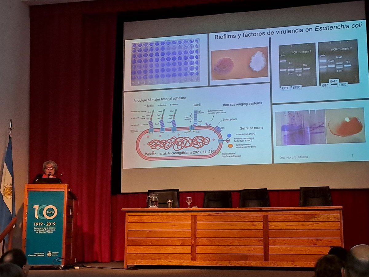 Primer Encuentro de Investigaciones Científicas: Un impulso para la investigación en tiempos de adversidad

Más información en med.unlp.edu.ar