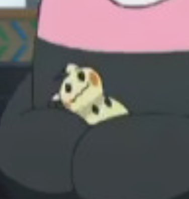 PokemonGems's tweet photo. hold the mimikyu https://t.co/XLx7L6V6Tr