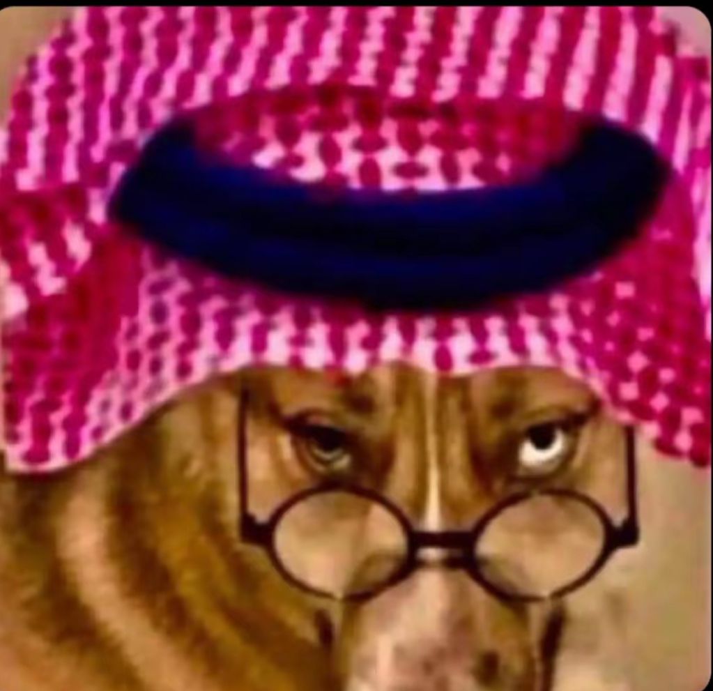 kd1528129's tweet photo. @Ahmed42605 @Lethal_pink_ https://t.co/npsz7ThdxQ