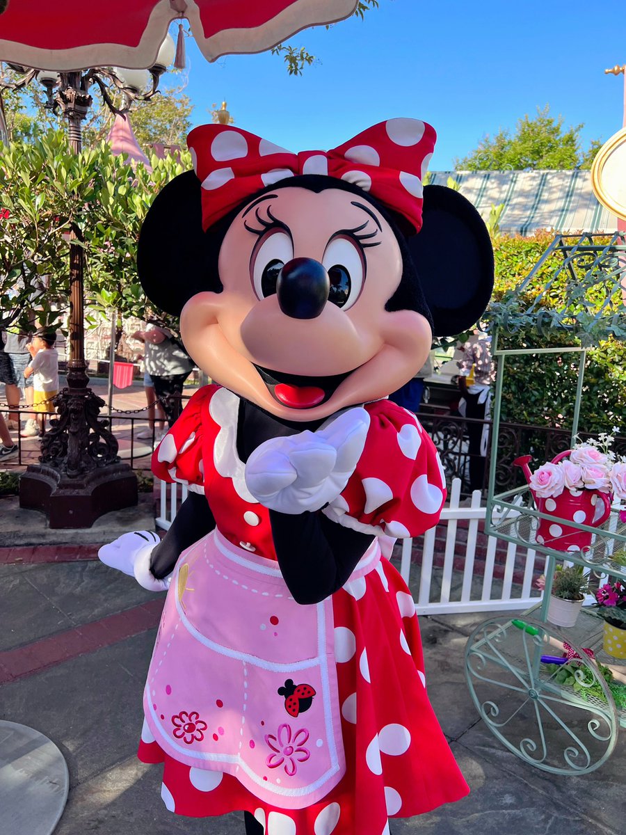 Mitsu_Hachi88's tweet photo. ミキミニ推しです💓
#ディズニー好きな人とつながりたい https://t.co/c9sFLwP0pY