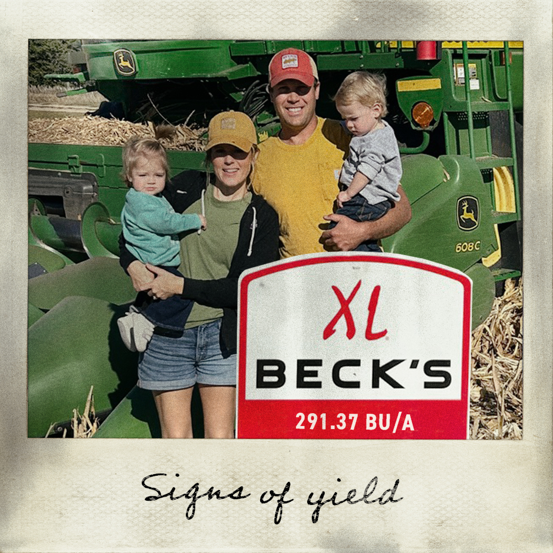 Beck's Hybrids tweet media