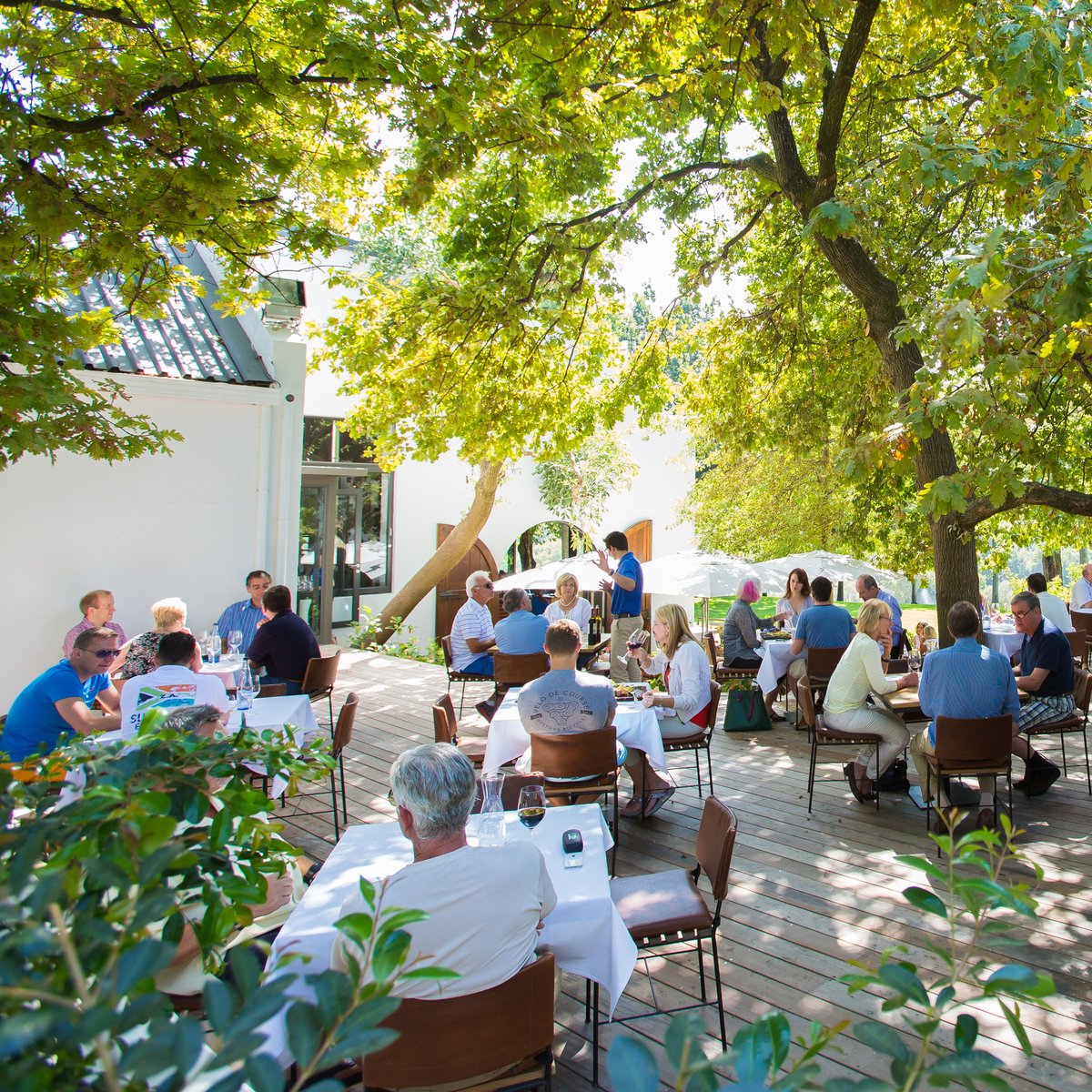 Summer afternoons on the terrace are here. 
Rust en Vrede Tasting Room - join us for wine tasting or the Winemaker's Lunch. No reservations, first come first served.