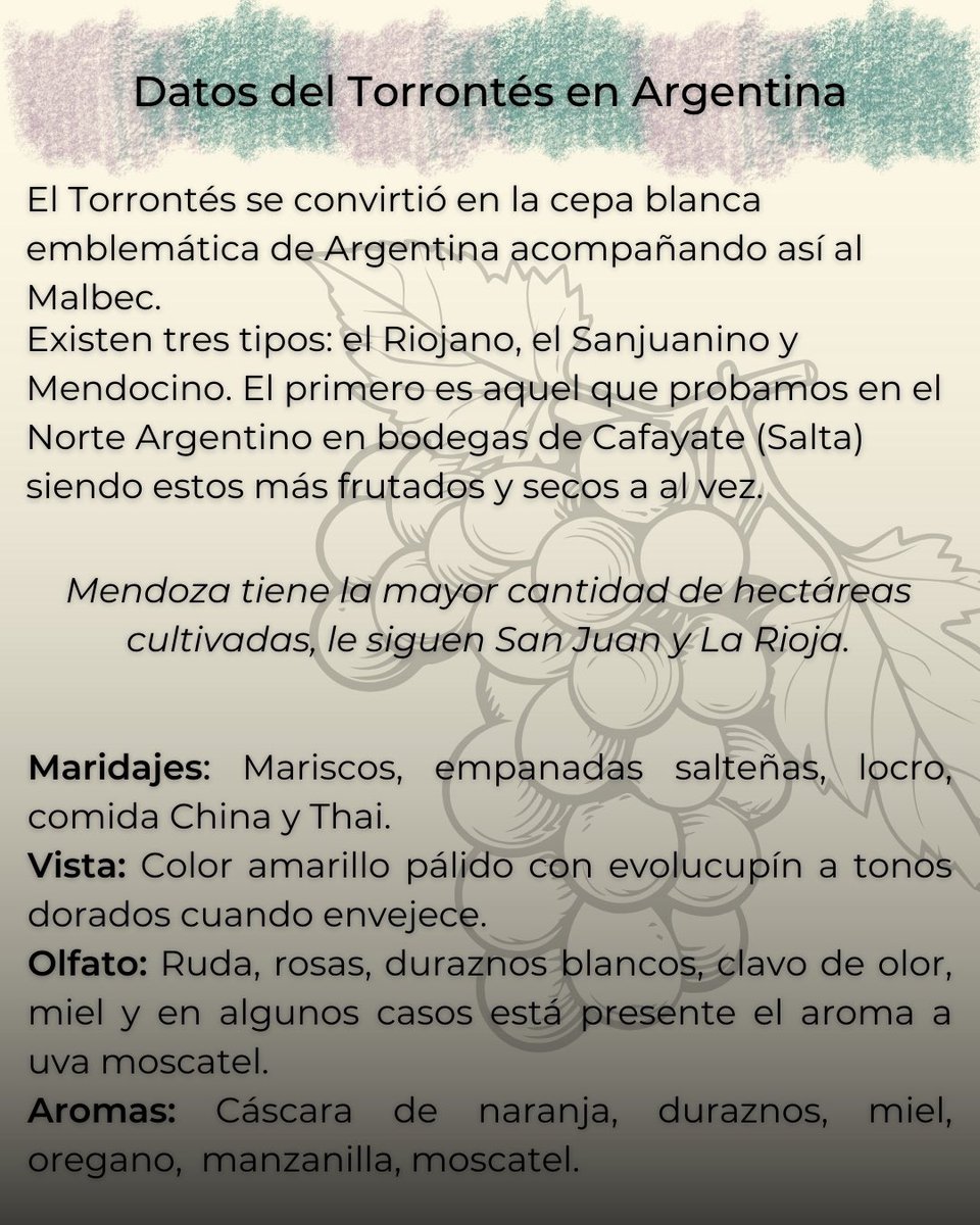 traigan_copas's tweet photo. Semana del Torrontés, la uva blanca emblemática de Argentina. 

¿Probaste alguna vez? ¿En qué región del país? 

#torrontes #vinos #semanadeltorrontes #clubdevinos https://t.co/pvKVSJCAWE