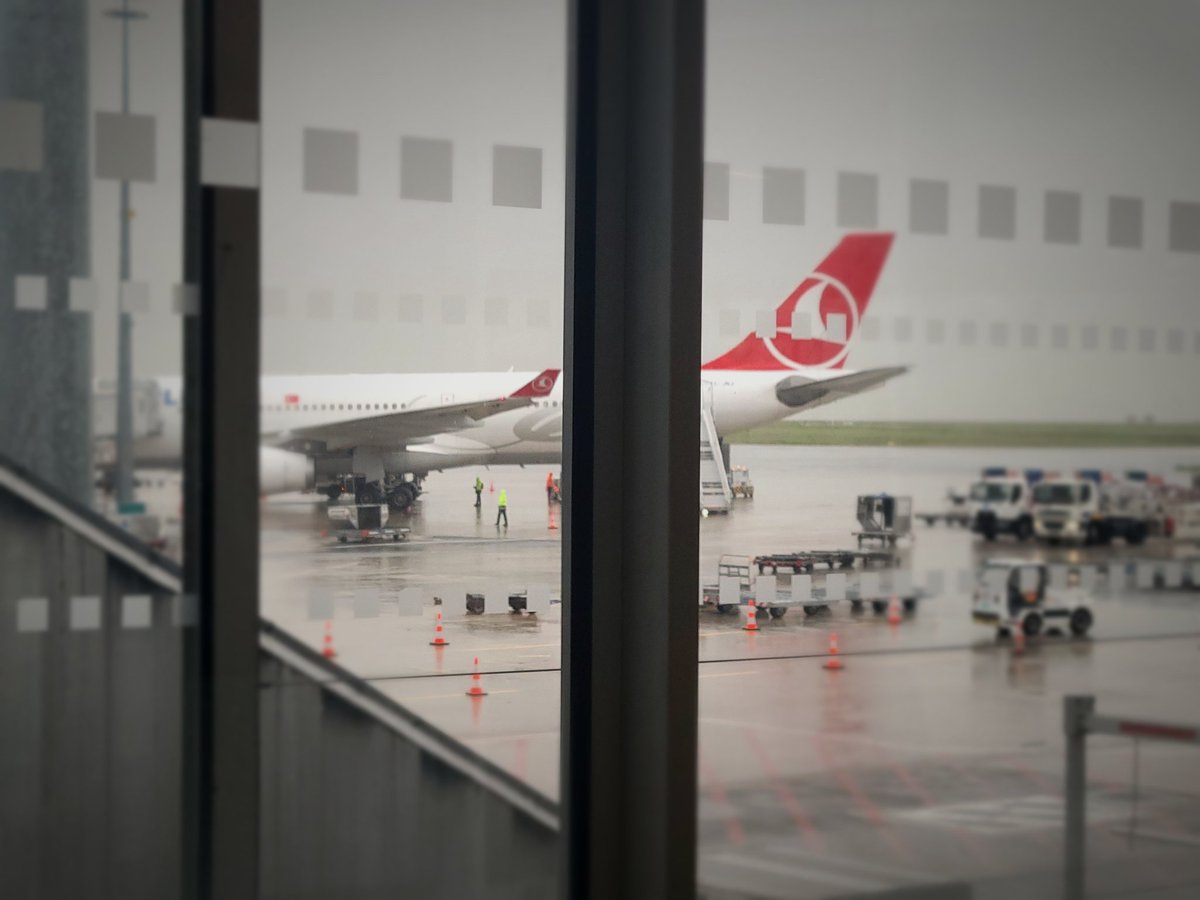 Asal Bagheri tweet media