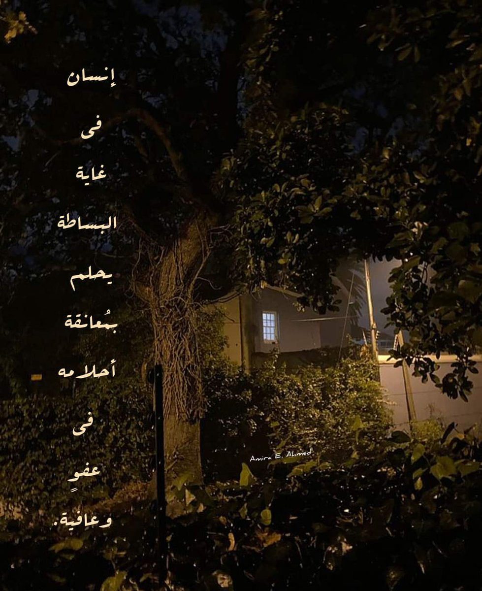 نُسَيبة (@nosaibayoussef) on Twitter photo 