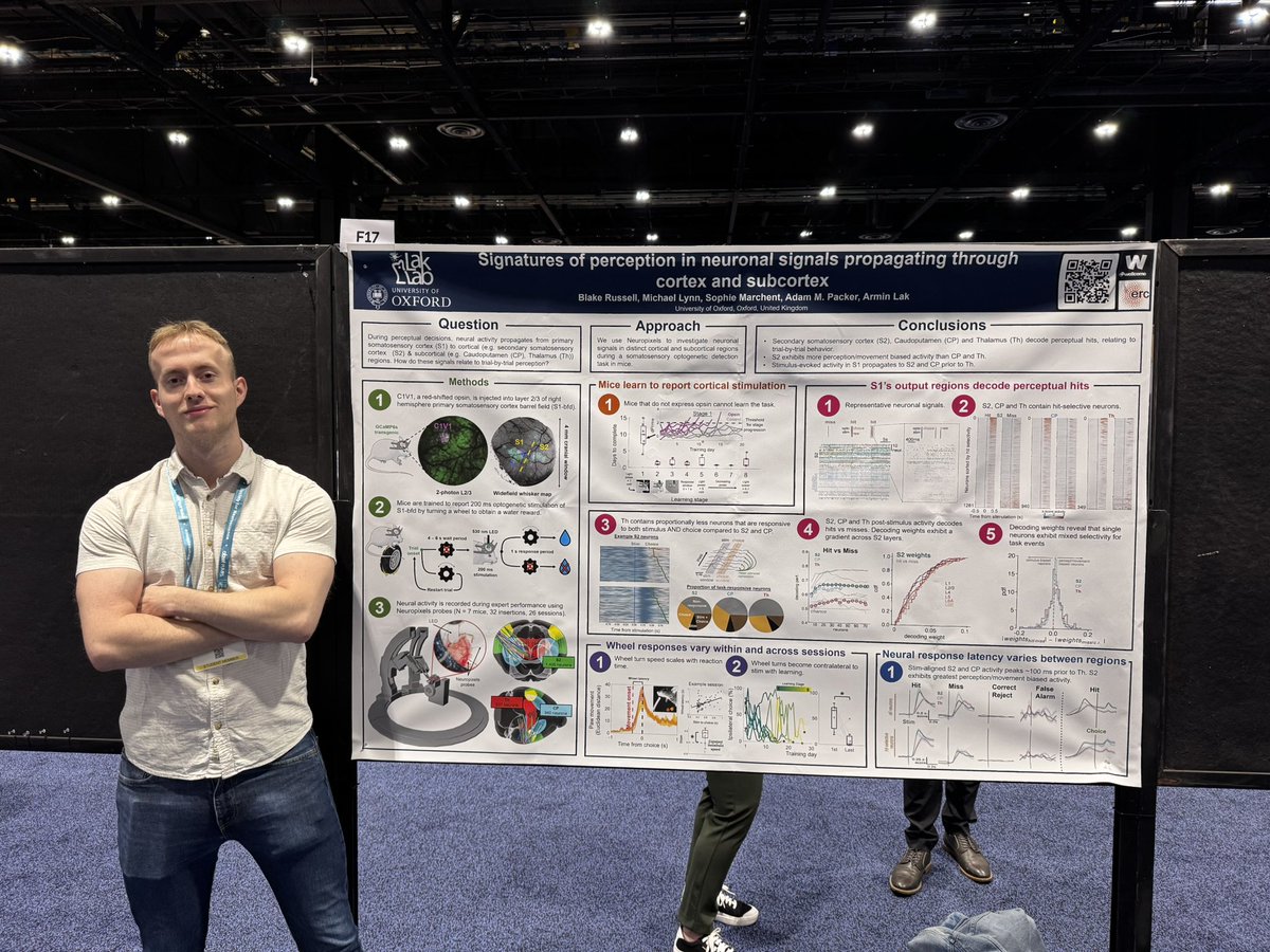 Michael Lynn (@michaelblynn_) on Twitter photo Come check out our poster on neuropixels, perception and cortical/subcortical routing (F17) at <a href="/SfNtweets/">Society for Neuroscience (SfN)</a> led by the supremely talented <a href="/NeuroRussell/">Blake Russell</a> with <a href="/ArminLak/">Armin Lak</a> <a href="/paqio/">Adam Packer</a> Come check out our poster on neuropixels, perception and cortical/subcortical routing (F17) at <a href="/SfNtweets/">Society for Neuroscience (SfN)</a> led by the supremely talented <a href="/NeuroRussell/">Blake Russell</a> with <a href="/ArminLak/">Armin Lak</a> <a href="/paqio/">Adam Packer</a>