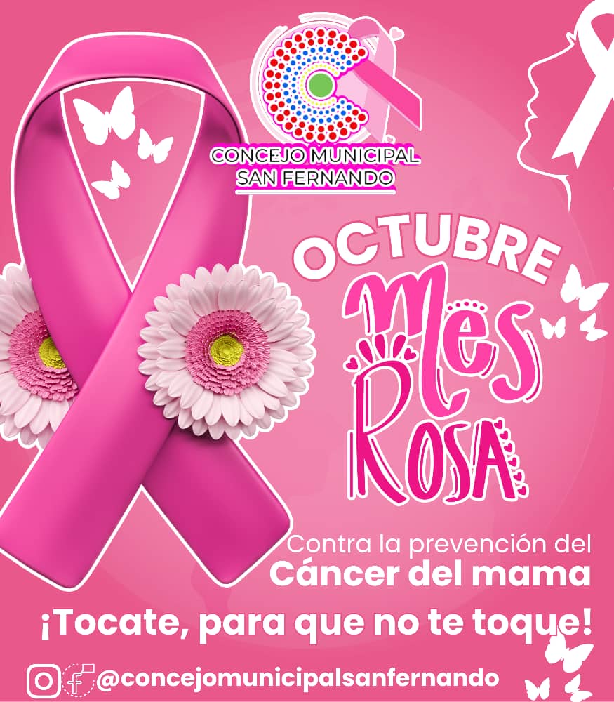 Concejo Municipal De San Fernando tweet media