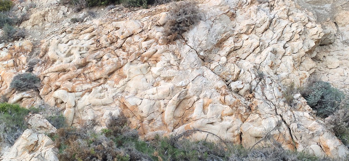 AransWorld79's tweet photo. Fósiles de Xert, soy muy fan del Cretácico.
El tamaño  de esos burrows es lo nunca visto🤩
#xert #cretacico #burrows #gasteropodos #geologia #geology #paleontologia @GeolegCAT @geologoenapuros @IGME1849 @mujerygeologia @GeolodiaES @sgeologica @MartaRoigeT @ikutram @ojanespelt https://t.co/5UlIdklBZW