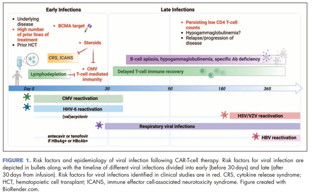 Takahiro Matsuo (Taka), MD (@takamatsuo_id) on Twitter photo 【Chimeric antigen receptor-T-cell therapies going viral: latent and incidental viral infections】Curr Opin Infect Dis, Oct 5 2024
👉Congrats, Erika <a href="/ErikaKampouri/">Erika Kampouri</a> <a href="/fredhutch/">Fred Hutch Cancer Center</a> <a href="/unil/">Université de Lausanne</a>🎉
👉Comprehensive review on the epidemiology of viral infections and critical approaches to 【Chimeric antigen receptor-T-cell therapies going viral: latent and incidental viral infections】Curr Opin Infect Dis, Oct 5 2024
👉Congrats, Erika <a href="/ErikaKampouri/">Erika Kampouri</a> <a href="/fredhutch/">Fred Hutch Cancer Center</a> <a href="/unil/">Université de Lausanne</a>🎉
👉Comprehensive review on the epidemiology of viral infections and critical approaches to