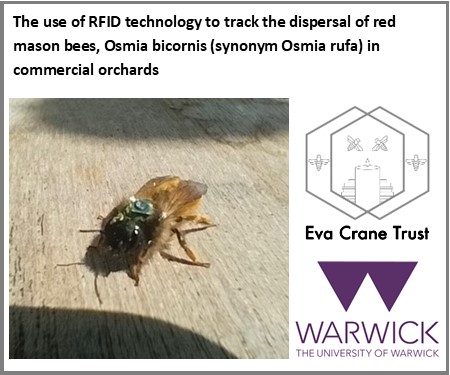 EvaCraneTrust's tweet image. Our latest case study by Fiona Tainsh @uniofwarwick  is now available to view: bit.ly/2ydomMQ

#commercialbeekeeping #forage #BeeScience
More projects coming soon....