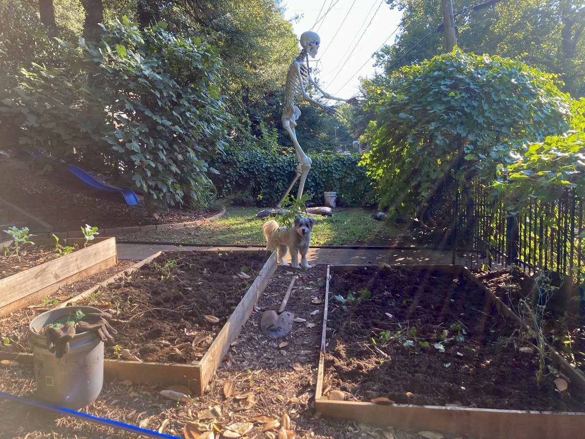 @austinlouisray.bsky.social tweet media