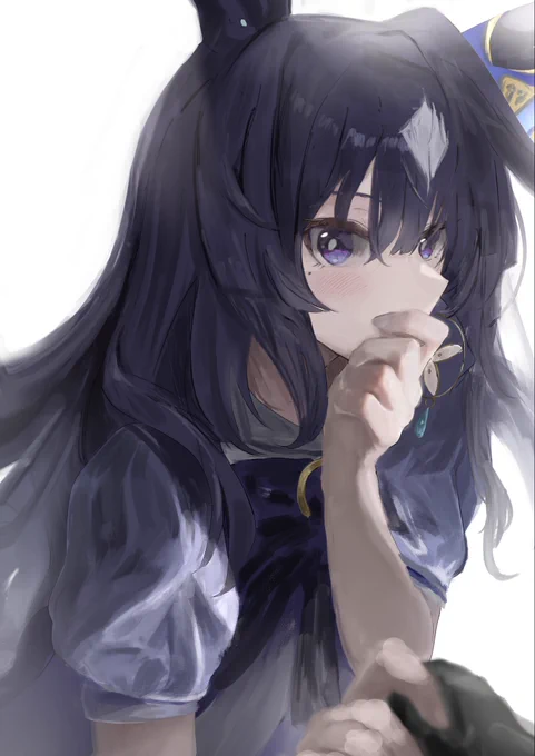 加筆ヴィルシーナさん 