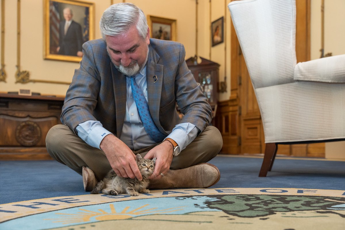 nkellyIN's tweet image. Guys, I just found these on @GovHolcomb's flickr from a Humane Society event and they are soooo cute.