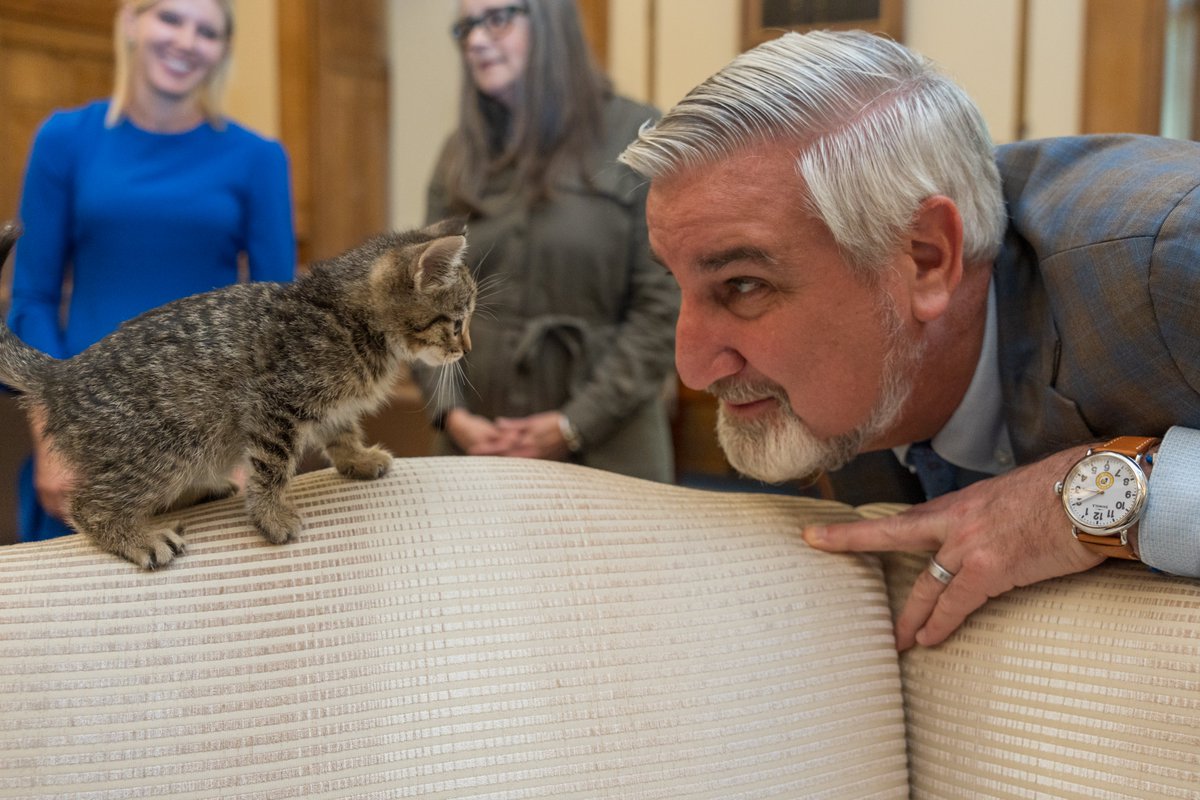 Guys, I just found these on @GovHolcomb's flickr from a Humane Society event and they are soooo cute.