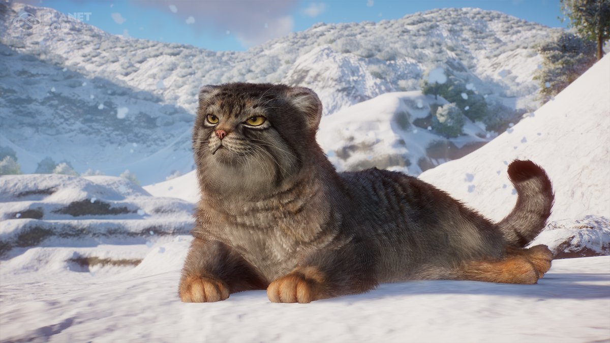 Planet Zoo tweet media