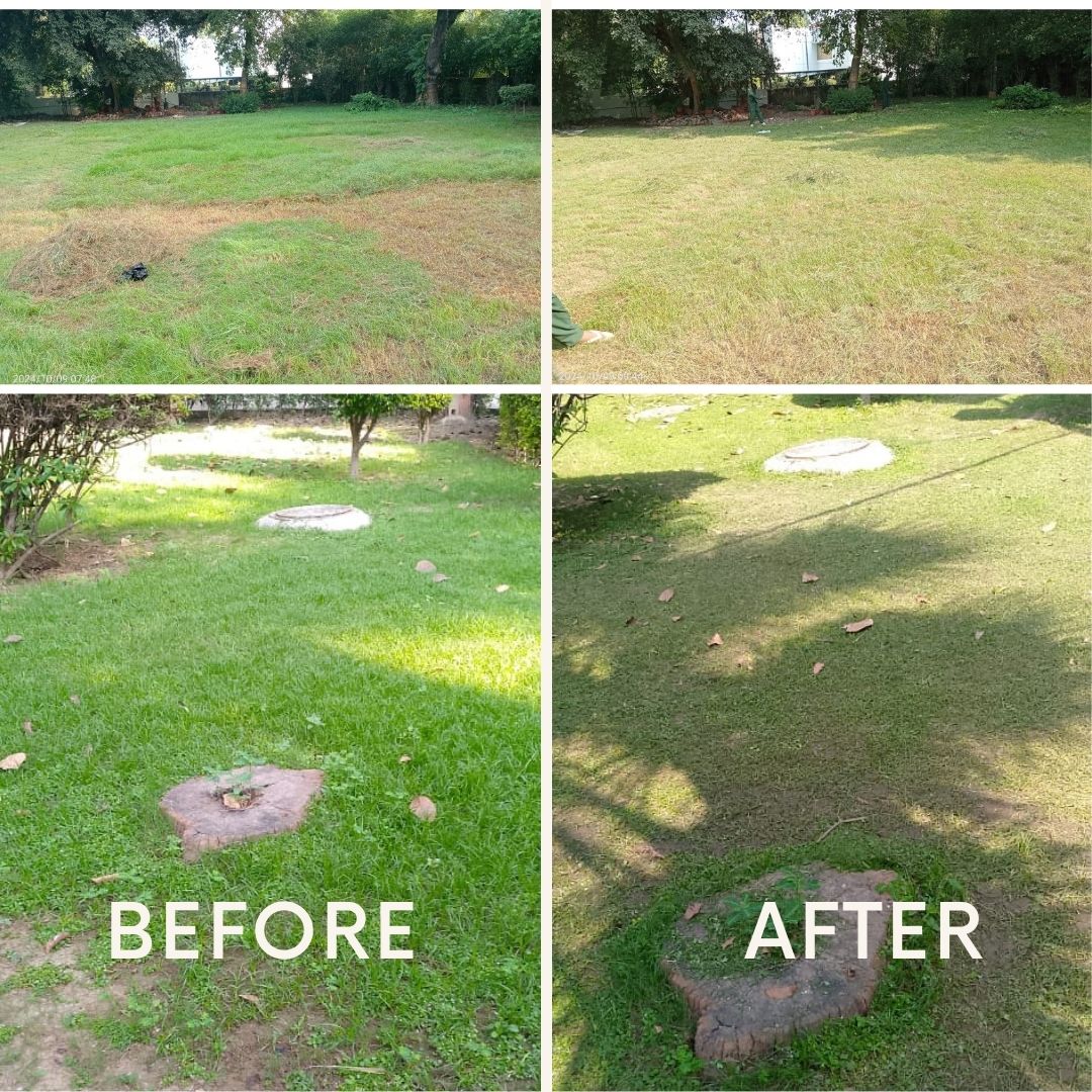 Garden Pruning at NITRD #NITRD, New Delhi Special Campaign 4.0 #SpecialCampaign4 #SwachhBharatMission
<a href="/MoHFW_INDIA/">Ministry of Health</a>

<a href="/DARPG_GoI/">DARPG 🇮🇳</a>