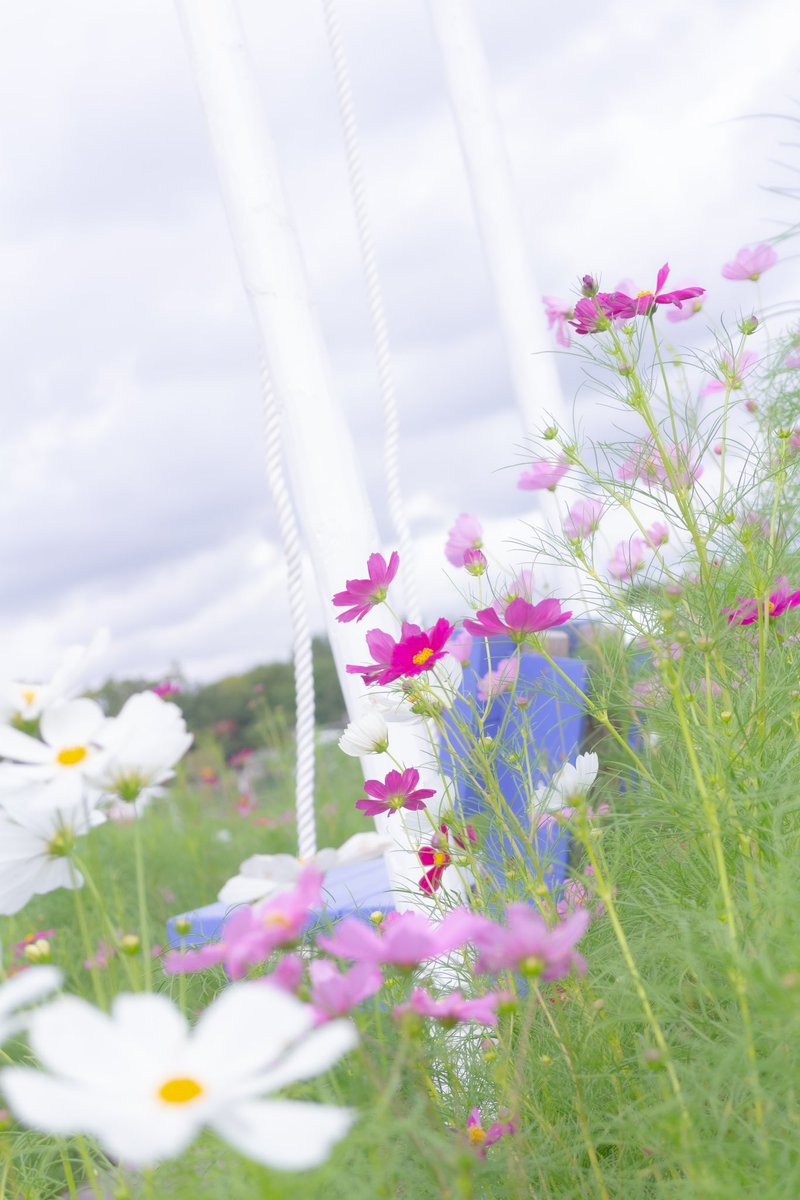 ユキナ tweet media