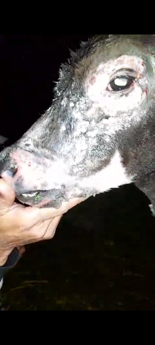 💞Ale Zapata💞 tweet media