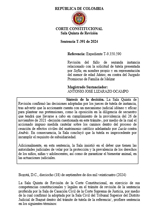 articulo20's tweet image. SENTENCIA RECOMENDADA 🗣 

#Constitucional

Juez de familia tiene el deber de tomar decisiones que garanticen el bienestar de los animales involucrados en los procesos y evitarles sufrimiento injustificado

SENT:  T-391 de 2024 | EXP: T-9.350.590