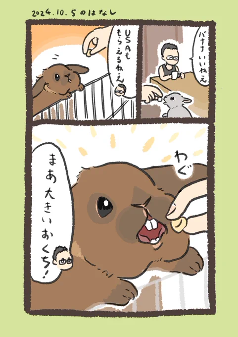 USAはお口がとっても大きいです💋

#うさぎのいる生活 