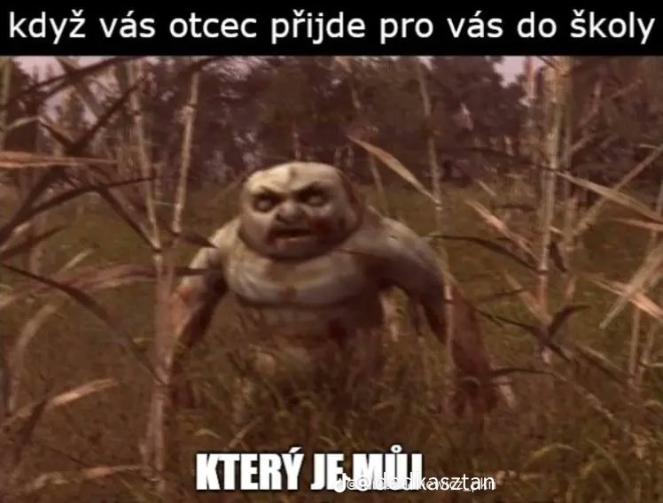 Czeskie memy XDDDD