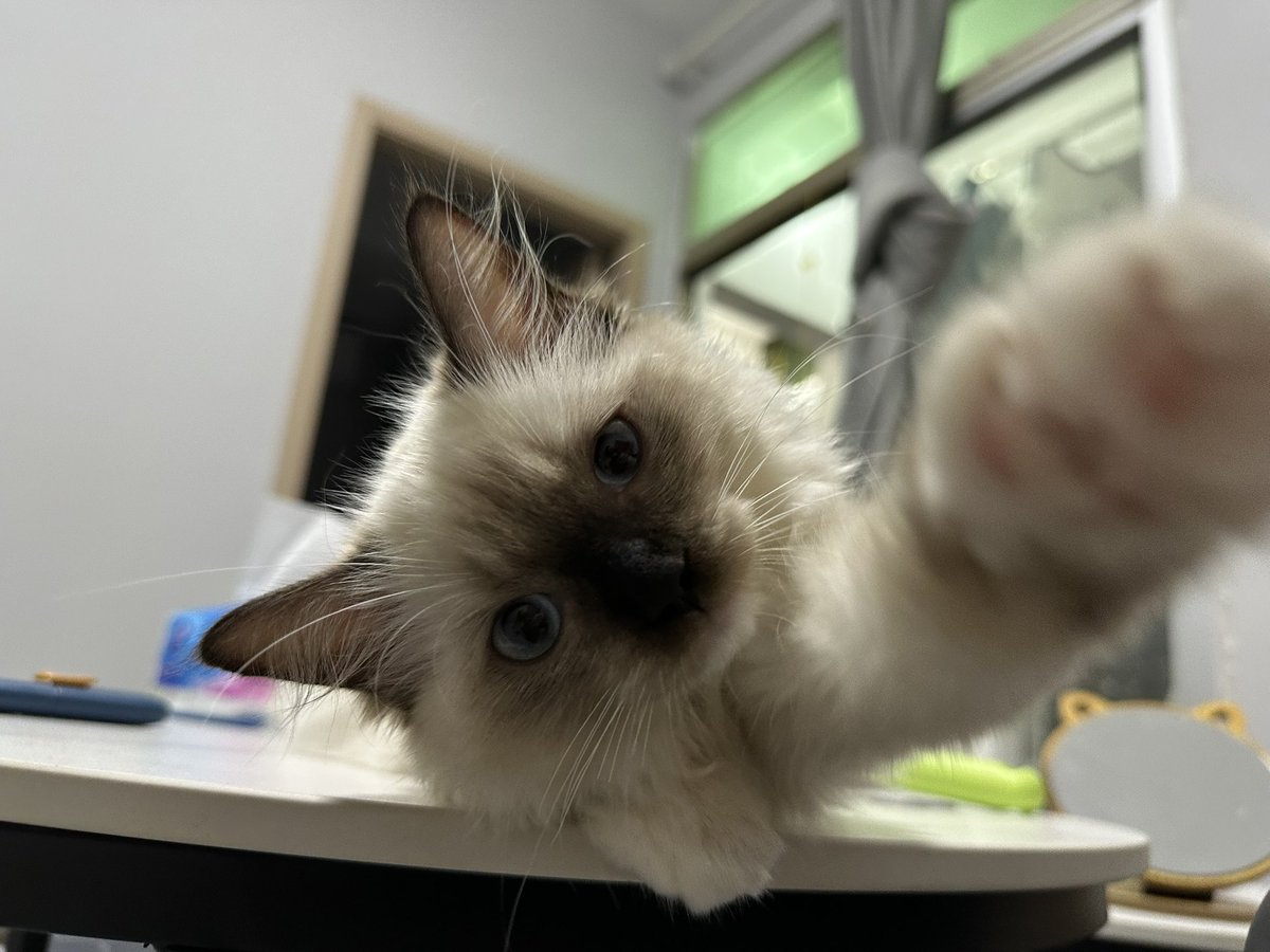 假装求摸其实咬人的钓鱼执法