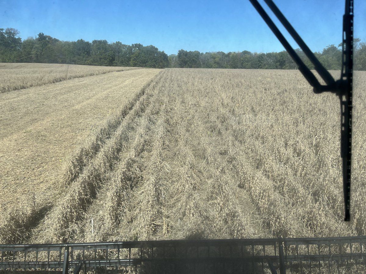 ellisce's tweet photo. Soybean seed treatment trial being harvested in Lincoln county. Treatments were Illevo, Saltro and only fungicide and insecticide treated seed. Thanks to Hudson Ag Service for doing the seed treatments. #2xAg2030, #ExtendMU https://t.co/YAjnXhPeKx