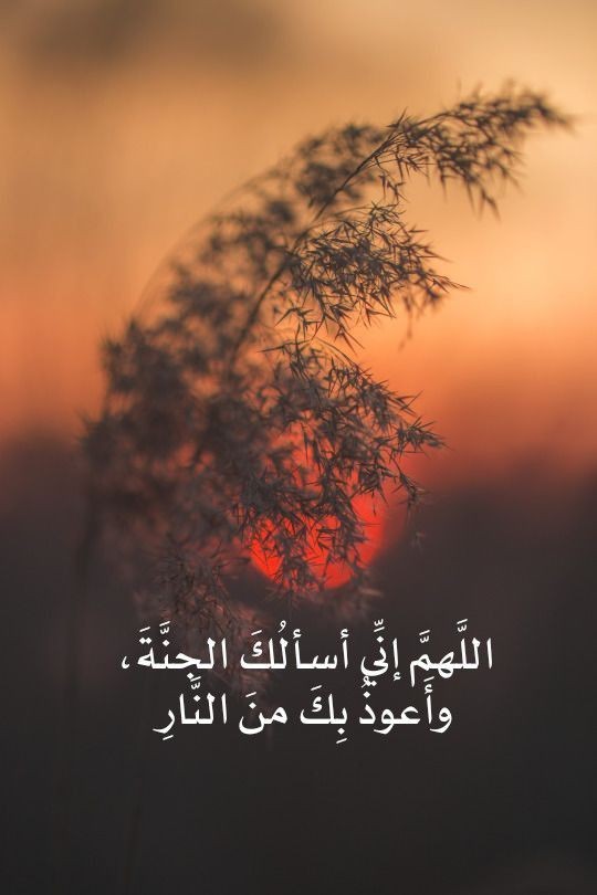motm2na_'s tweet photo. يا الله🤎.. https://t.co/2Dkj3XFkYg