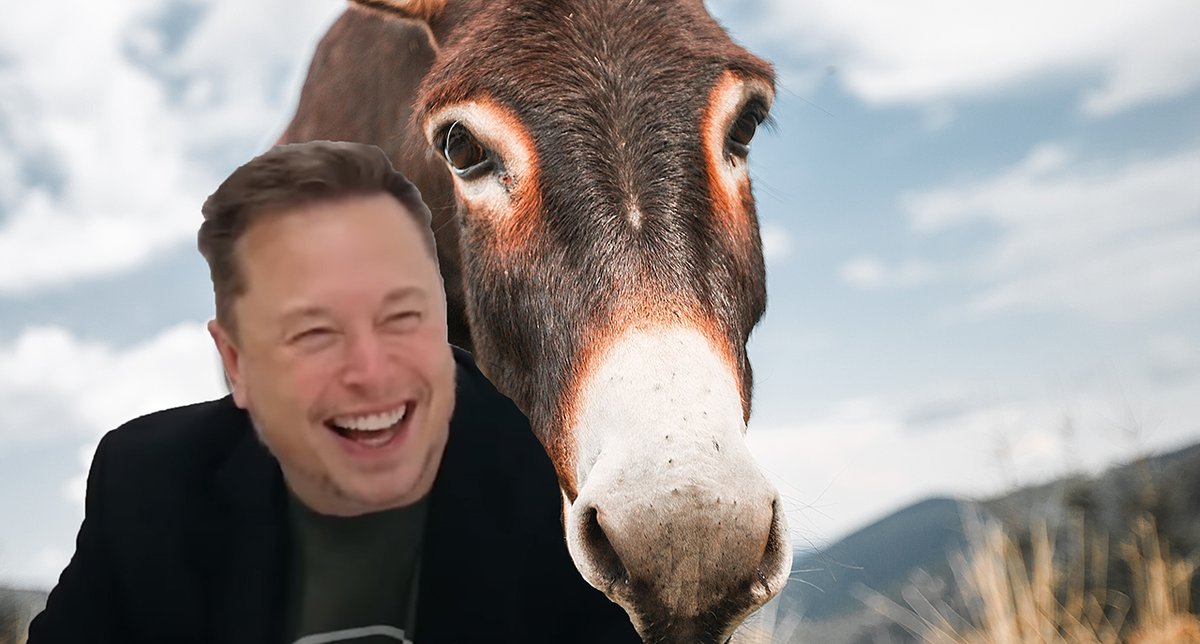 If you feel a deep repugnance for this stupid, irritating, and contemptible person, you are a decent human being
#Musk