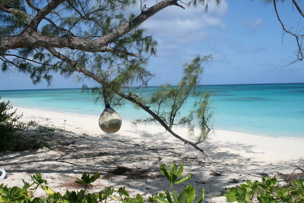 TropicalImpulse's tweet photo. Discover luxury #VacationHomeRentals in Bahamas! Visit https://t.co/C93cpq7eLM for #ExquisiteProperties, stunning views, &amp; exclusive amenities. Book your #TropicalParadise getaway today!
#TropicalImpulse #LuxuryGetaway #CaribbeanEscape #BeachfrontLiving #BahamasVacation #BookStay https://t.co/lijrYfhDx6